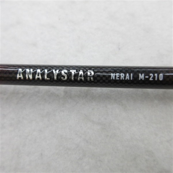 ２４アナリスターネライＭー２１０
